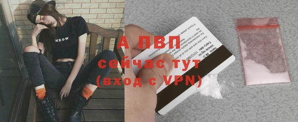 круглые Бородино