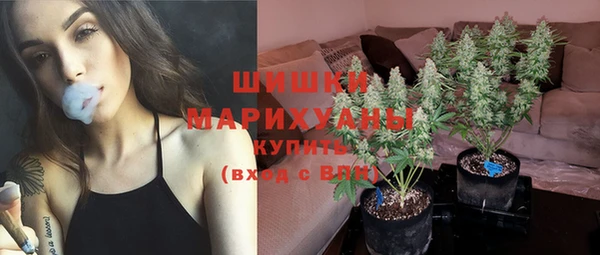 круглые Бородино