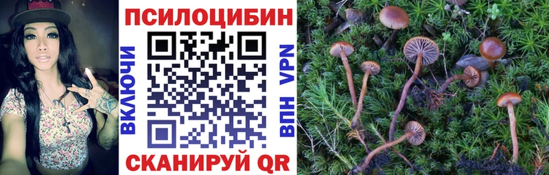 Купить где  Волчанск  Галлюциногенные грибы прущие грибы 
